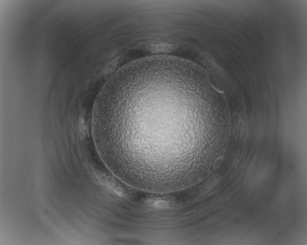 X0000081370655200701111549