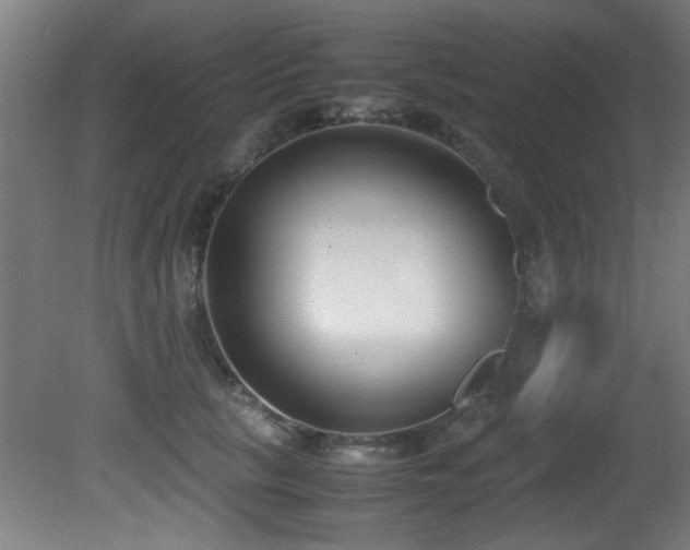 X0000081370657200701111549