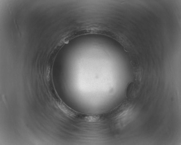 X0000081370660200701111549