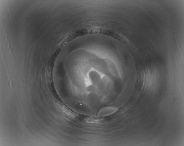 X0000081370661200701111549