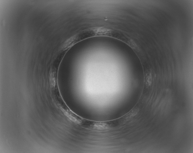 X0000081370666200701111549