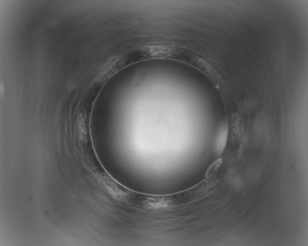 X0000081370667200701111549