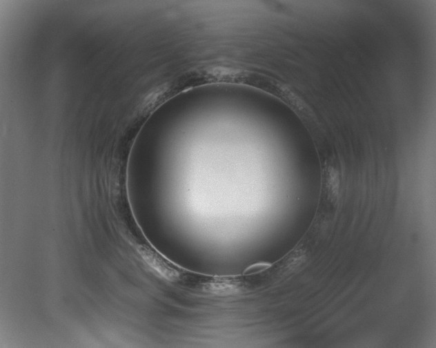 X0000081370668200701111549