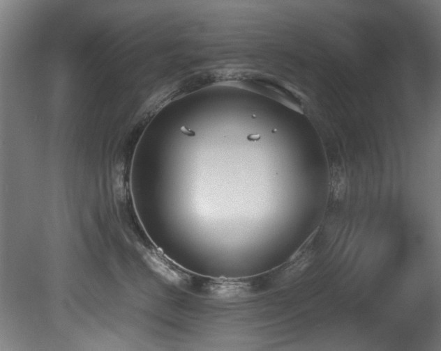 X0000081370670200701111549