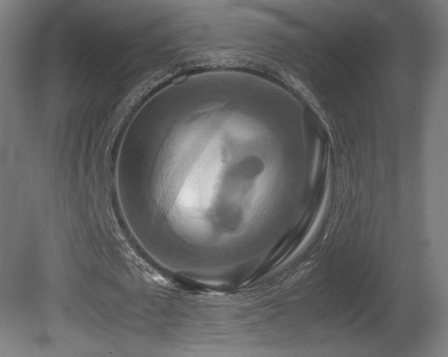 X0000081370673200701111548