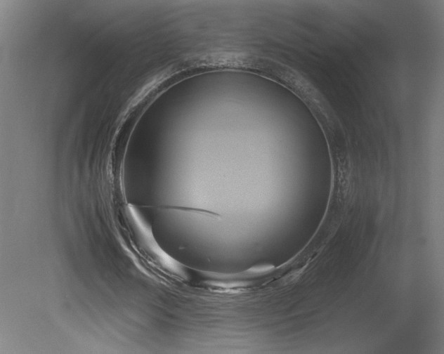 X0000081370674200701111548