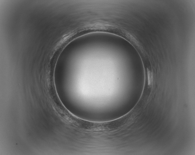 X0000081370675200701111548