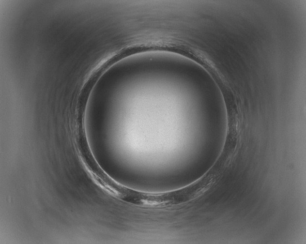 X0000081370677200701111548