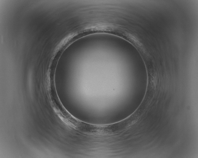X0000081370678200701111548