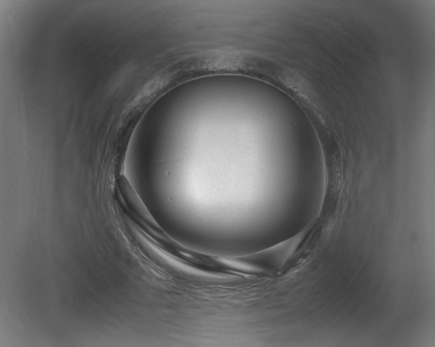 X0000081370681200701111548