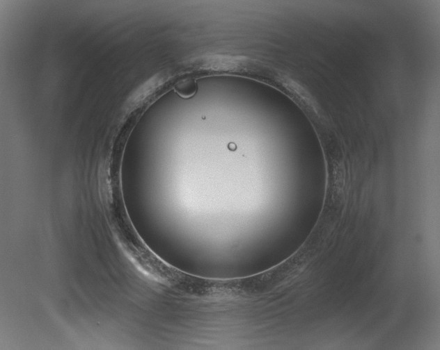 X0000081370682200701111548