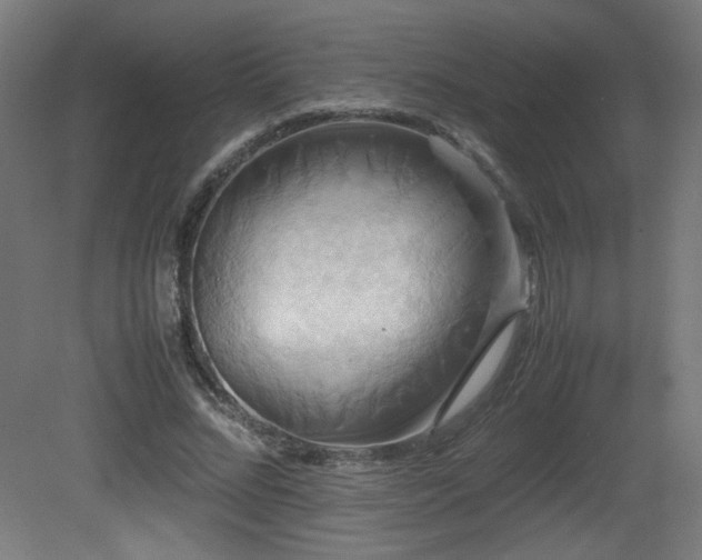 X0000081370684200701111548