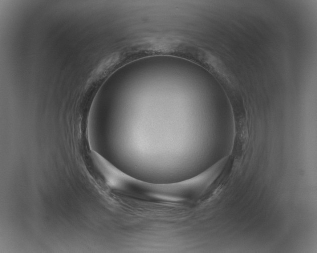 X0000081370685200701111548