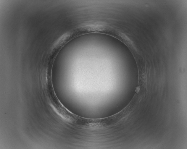 X0000081370686200701111548