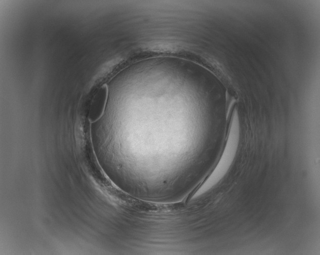 X0000081370688200701111548