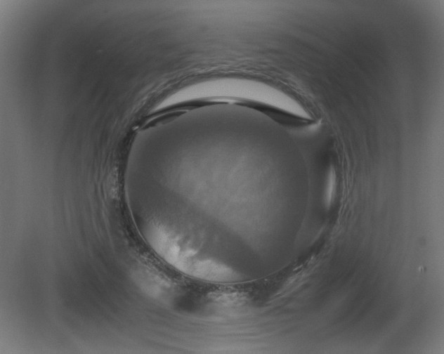 X0000081370689200701111548