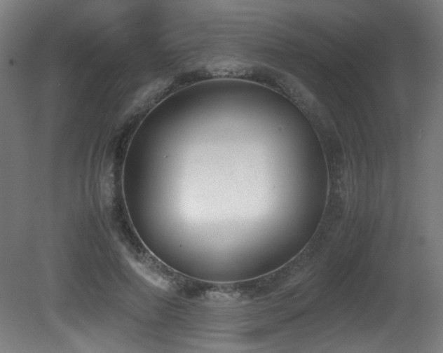 X0000081370690200701111548