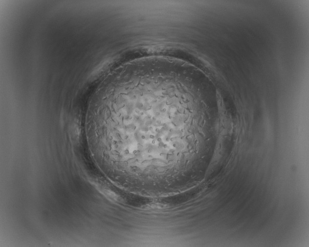 X0000081370691200701111548