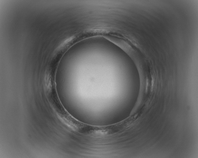 X0000081370692200701111548