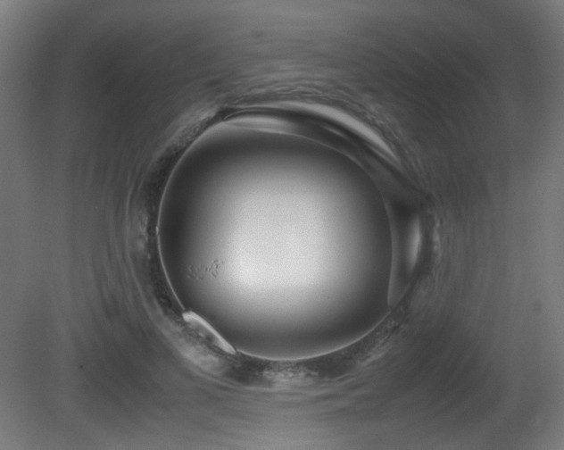 X0000081370693200701111548