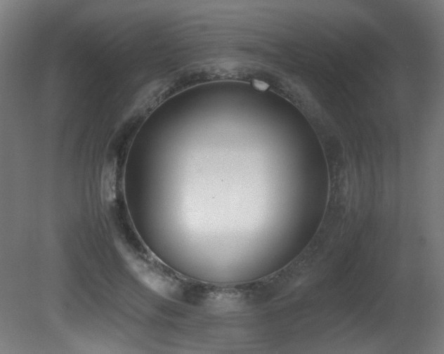 X0000081370694200701111548