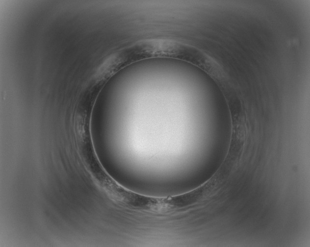 X0000081370695200701111548