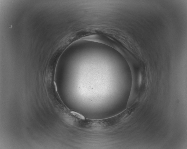 X0000081370697200701111548