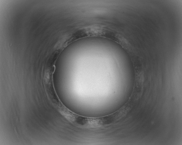 X0000081370709200701111548