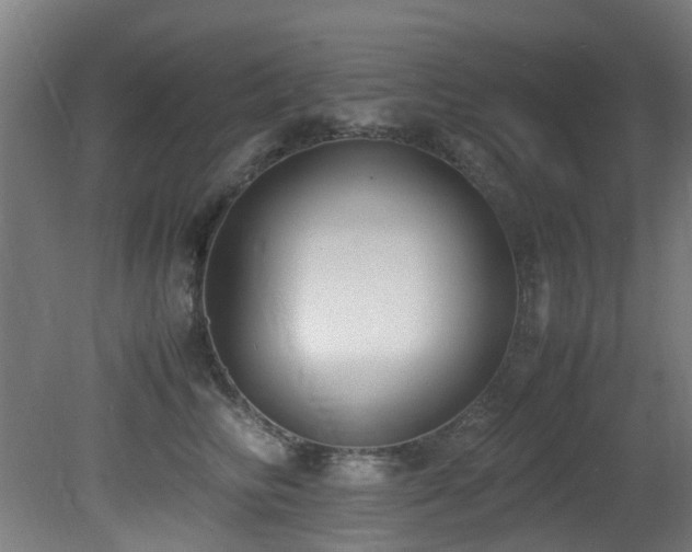 X0000081370710200701111548