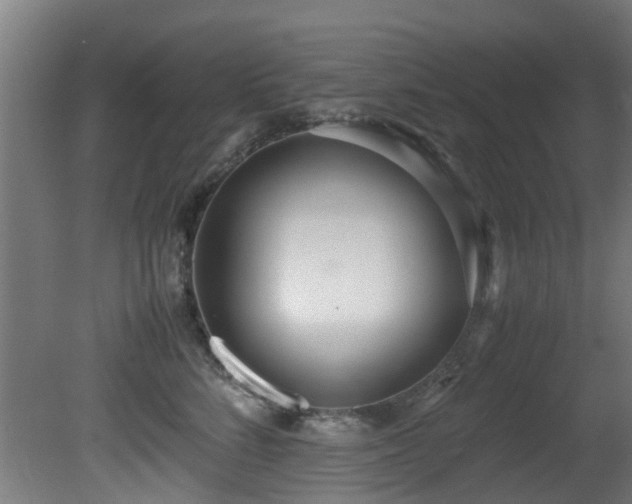 X0000081370712200701111548