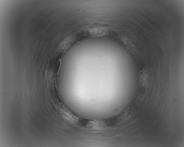 X0000081370713200701111548