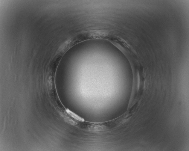 X0000081370716200701111548