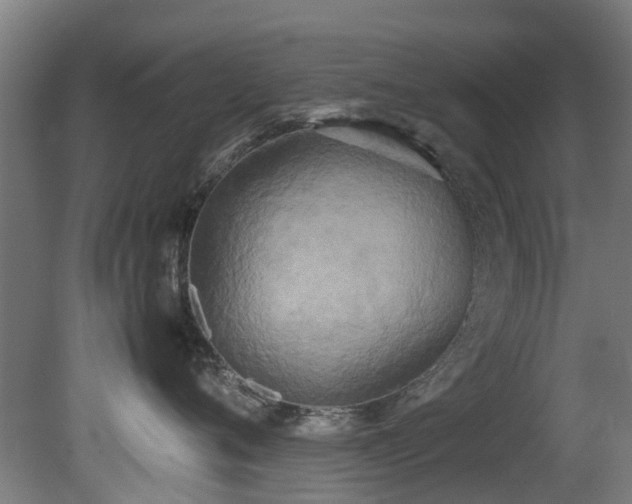 X0000081370720200701111548