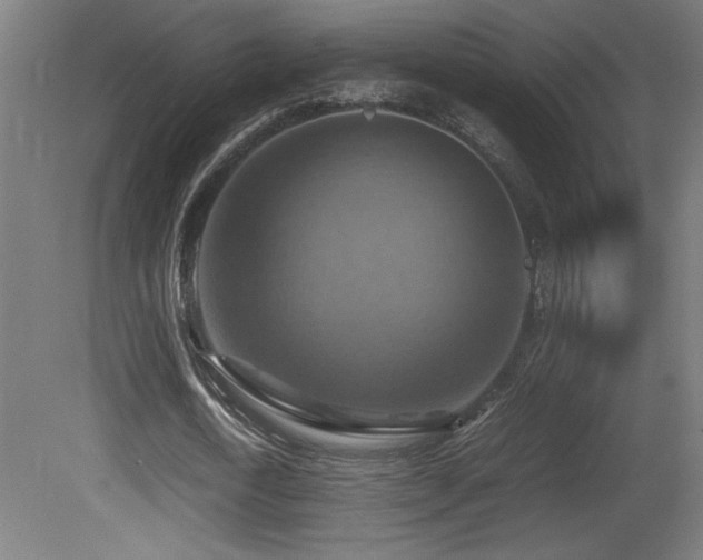 X0000081370722200701111547