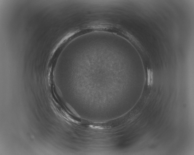 X0000081370723200701111547