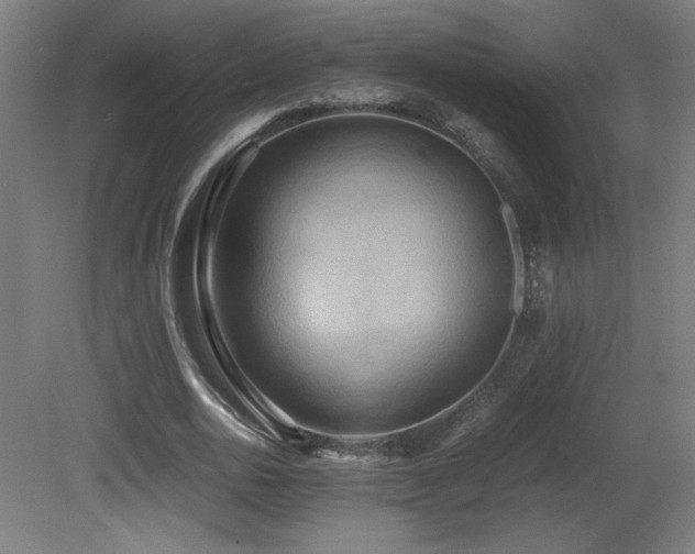 X0000081370726200701111547