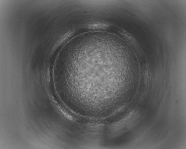 X0000081370729200701111547