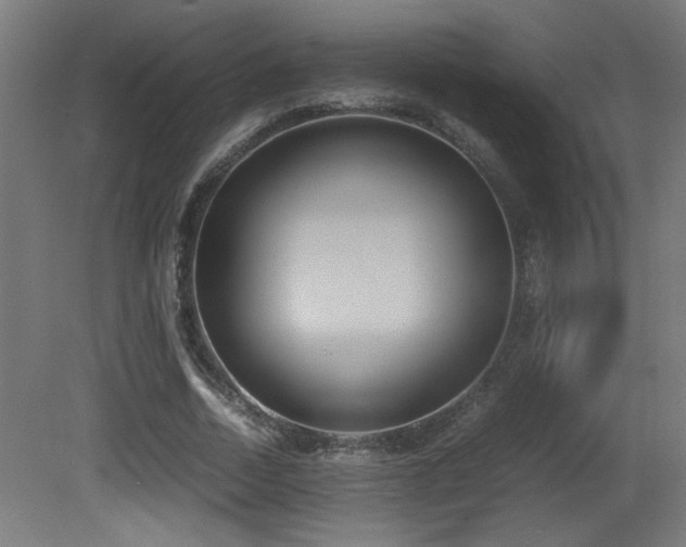 X0000081370730200701111547