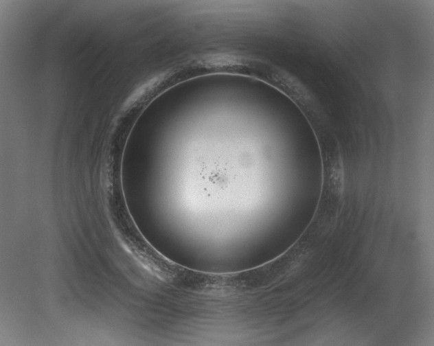 X0000081370732200701111547
