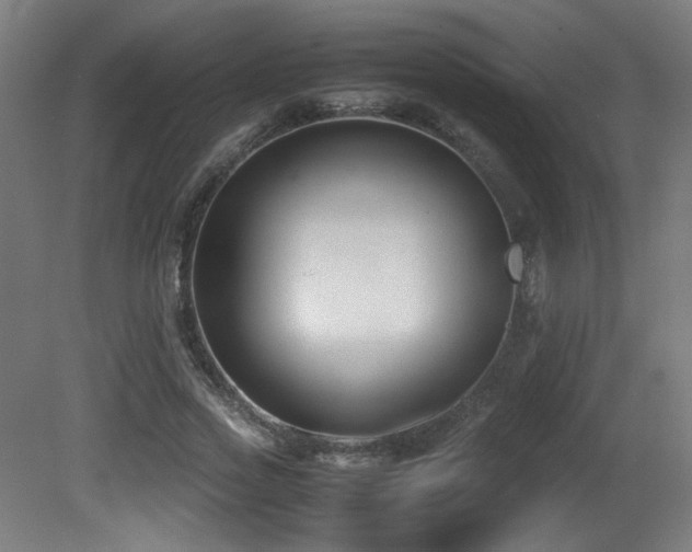 X0000081370733200701111547