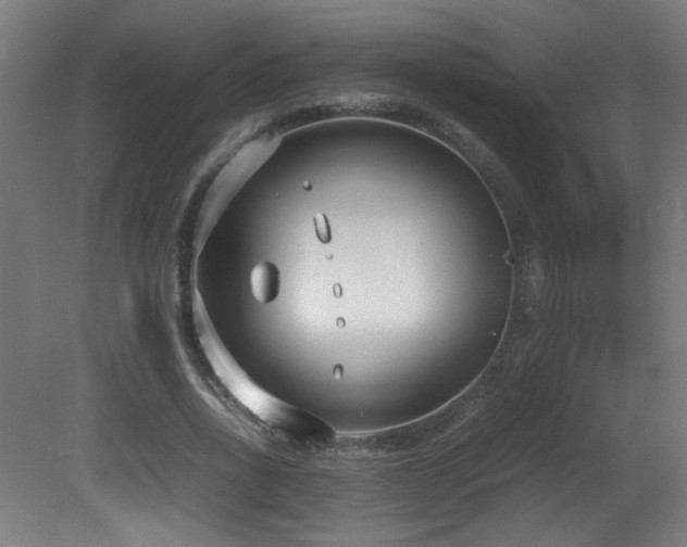 X0000081370734200701111547