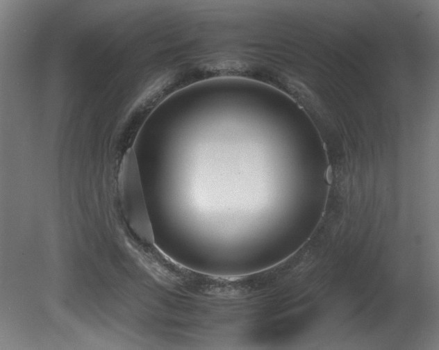 X0000081370735200701111547
