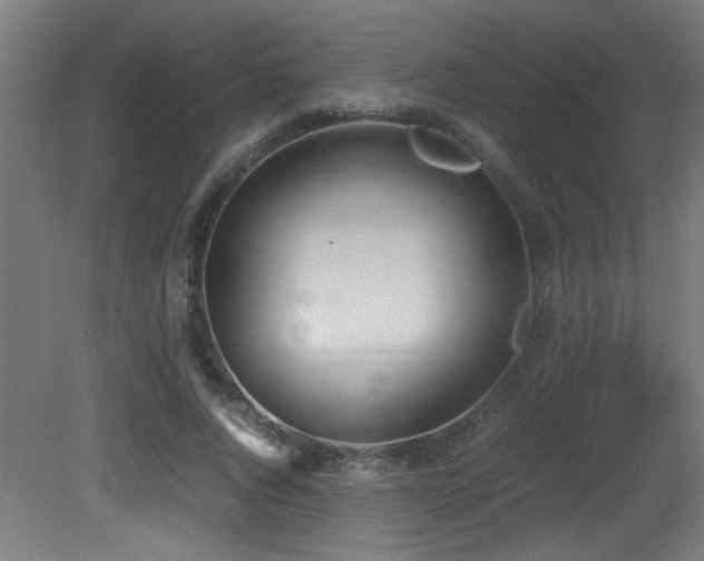 X0000081370736200701111547