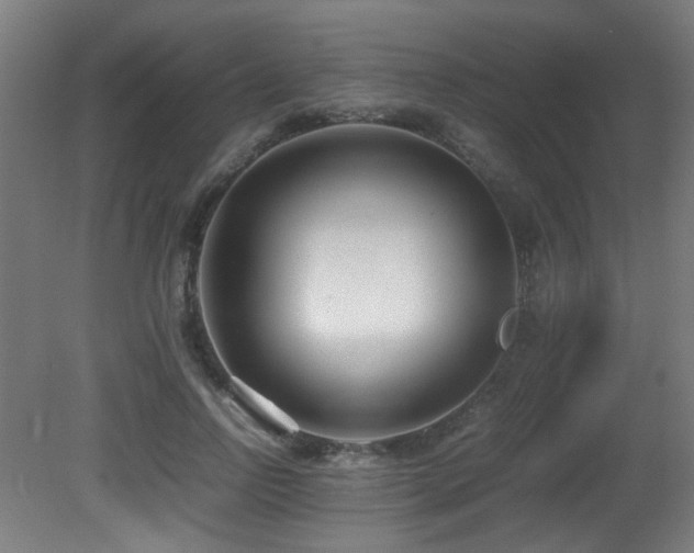 X0000081370742200701111547