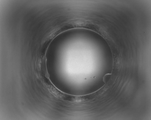 X0000081370746200701111547