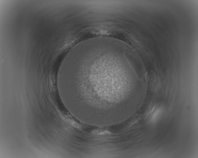 X0000081370747200701111547