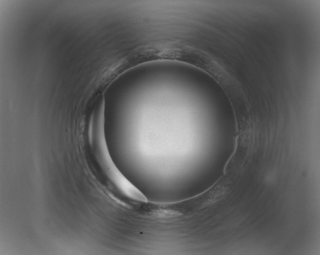 X0000081370748200701111547