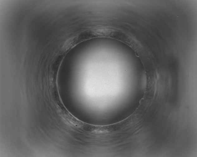 X0000081370749200701111547