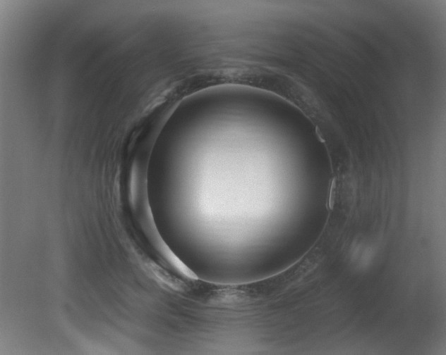 X0000081370750200701111547