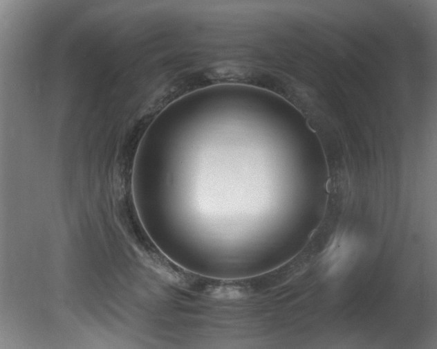 X0000081370751200701111547
